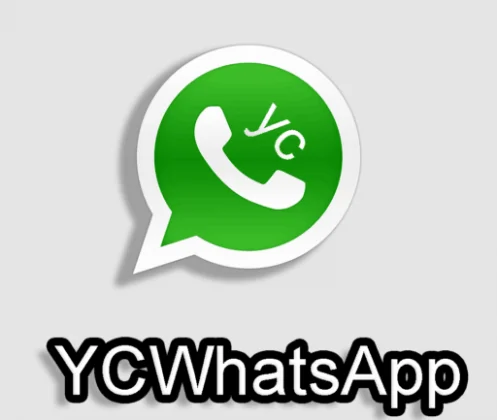 YCWhatsApp
