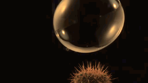Slow Motion Video FX 