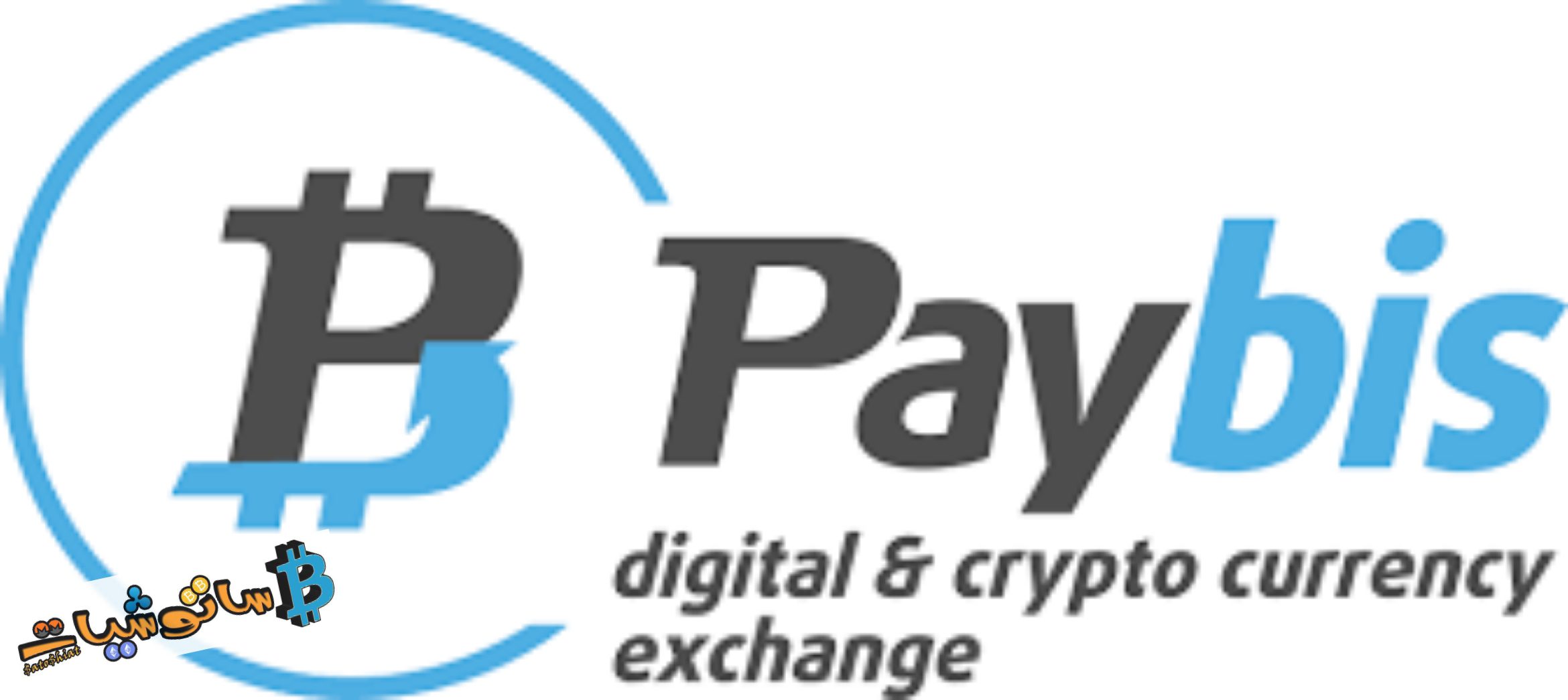 موقع Paybis
