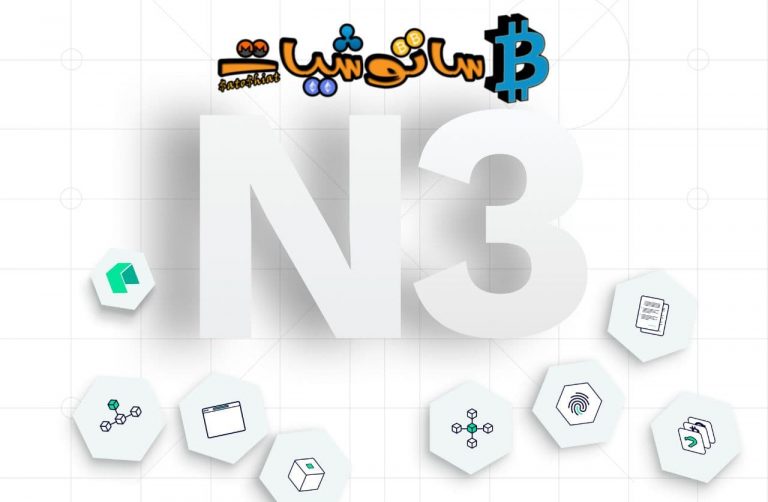  N3