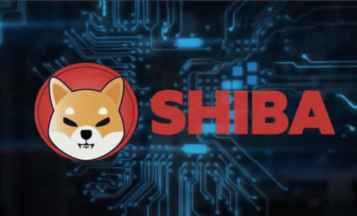 Shiba Inu
