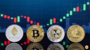 ما هي المصطلحات الخاصة بالعملات الرقمية؟