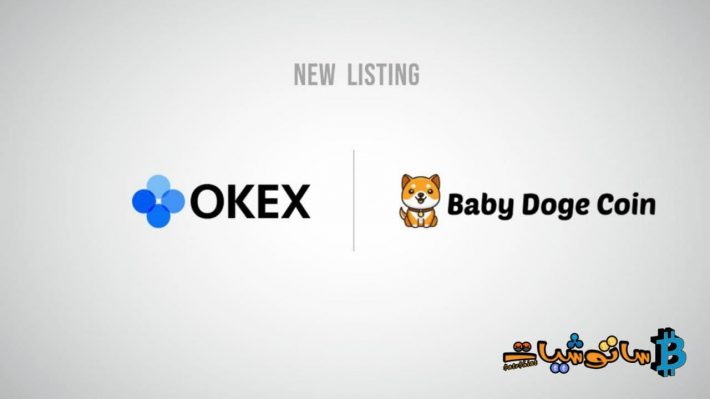 عملة BabyDoge 