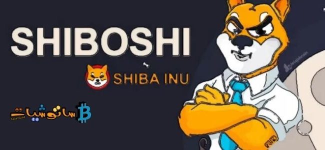 Shiboshis
