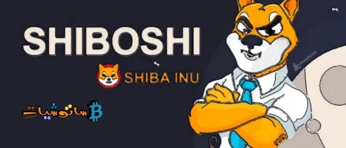 Shiboshis