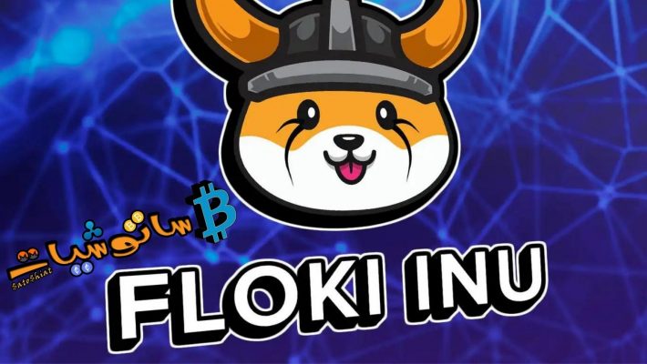 Floki Inu