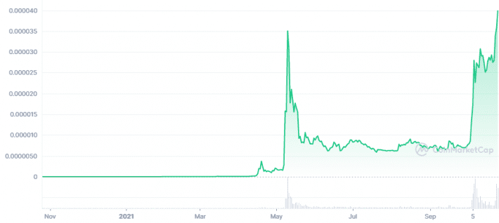 رسم بياني يوضح سعر عملة "Shiba Inu" خلال ال 365 يوم الماضية