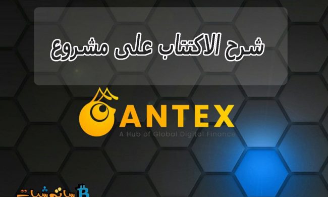 مشروع AntEx