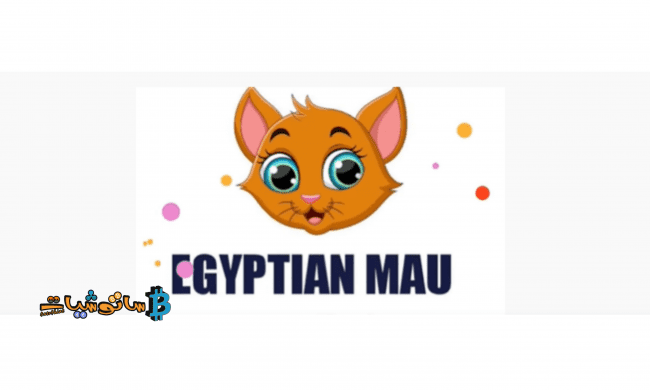 شرح مشروع عملة Egyptian Mau برمزها MAU وكيفية شرائها خطوة بخطوة