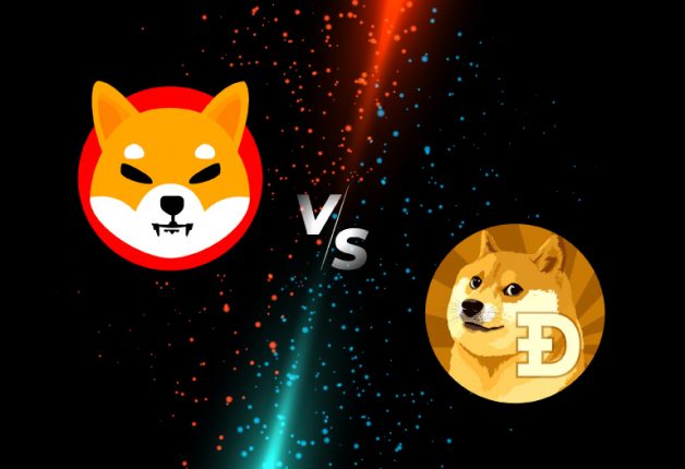 تتصدر Shiba Inu و Dogecoin قائمة البحث عن العملات الرقمية على  Google USA
