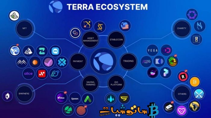 تمويل المشاريع لعملة تيرا (Terra)