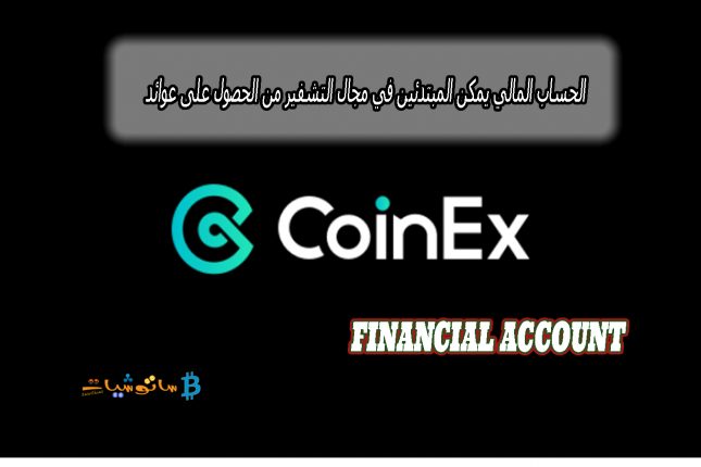 الحساب المالي