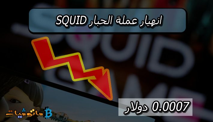 انهيار عملة الحبار SQUID الى 0.0007 دولار خلال خمس دقائق