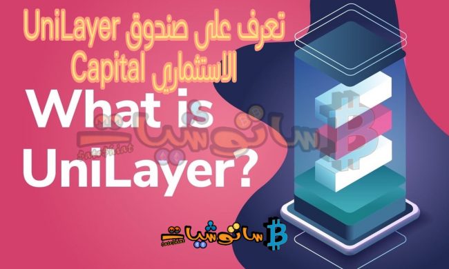 صندوق UniLayer Capital الاستثماري
