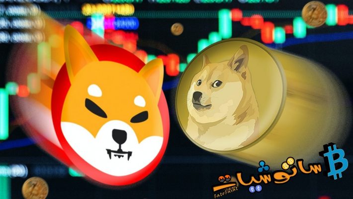 يعاني اقتصاد عملات Meme من تراجع في سوق العملات المشفرة، حيث تفقد DOGE و SHIB المليارات