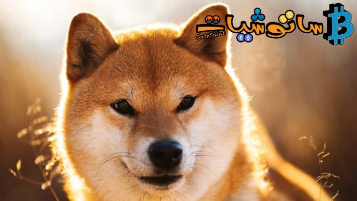 تخطط شيبا اينو لدخول ميتافيرس من خلال Shiberse