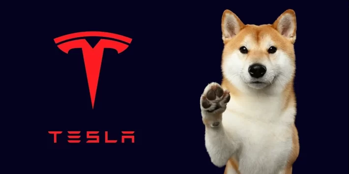 أطلقت Tesla مدفوعات Dogecoin للسلع