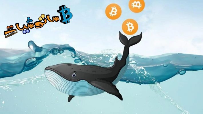 البيتكوين