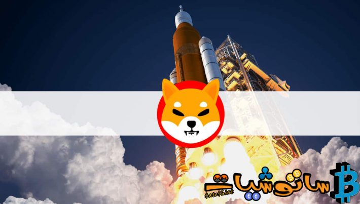 شركة شيبا Shiba Inu (SHIB) تنفجر بنسبة 22٪ ويتبعها العديد من الميمز كوين الأخرى