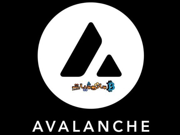 تطلق Avalanche أفالانش برنامج حوافز بقيمة 290 مليون دولار لتسريع نمو الشبكات الفرعية