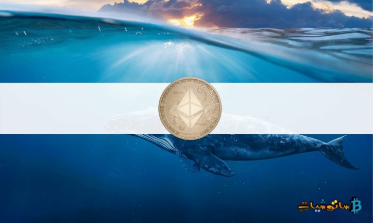 أهم 100 عنوان لحيتان Ethereum، وما الذي تحويه هذه العناوين؟