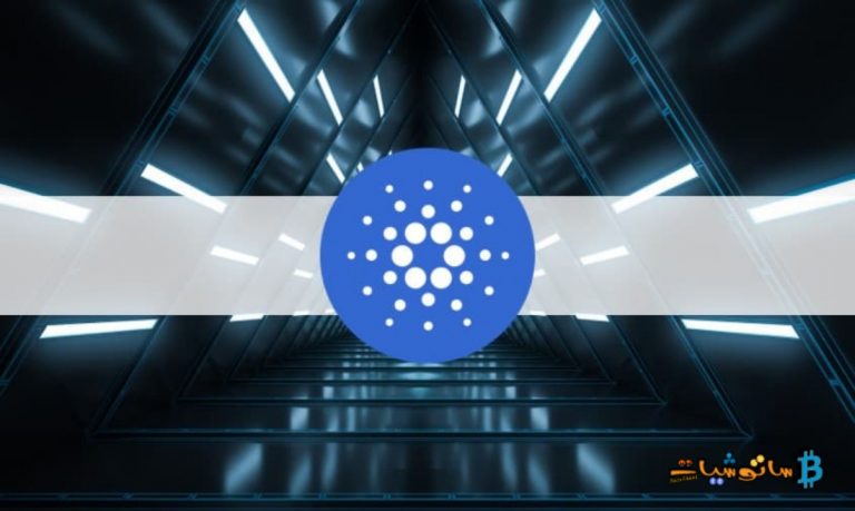 تشهد كاردانو زيادة في المعاملات الكبيرة بمقدار 50 ضعفاً في عام 2022