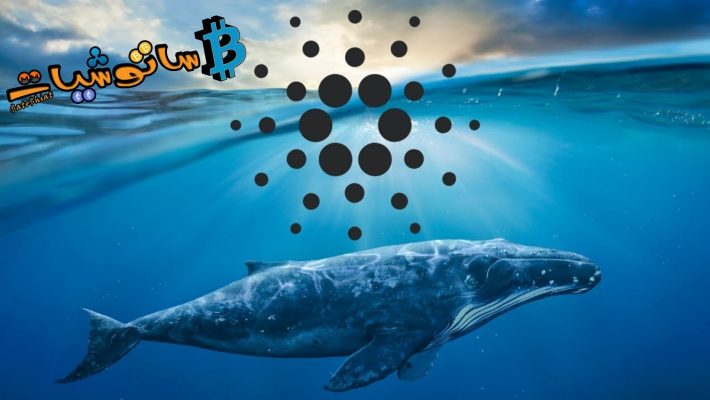 Cardano