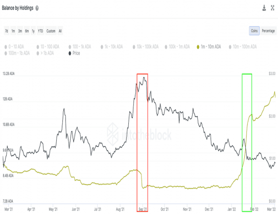 ADA's whale holdings (IntoTheBlock)