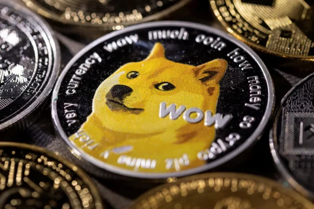 هل يمكن أن تصبح DogeCoin العملة المعتمدة للانترنت؟