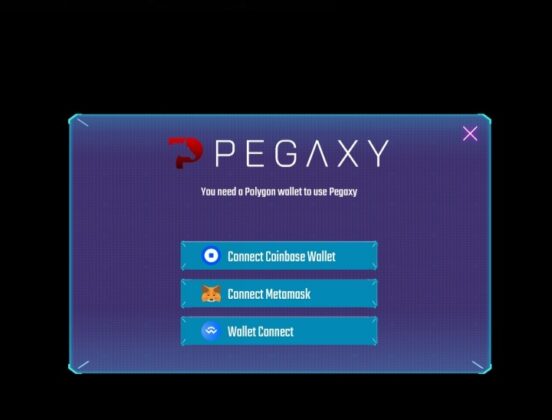 شرح مشروع لعبة Pegaxy وكيفية تحقيق ربح من خلالها P2E