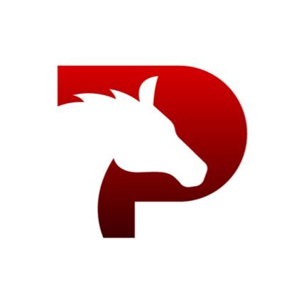 شرح مشروع لعبة Pegaxy وكيفية تحقيق ربح من خلالها P2E