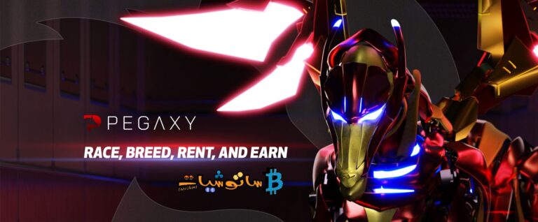 شرح مشروع لعبة Pegaxy وكيفية تحقيق ربح من خلالها P2E