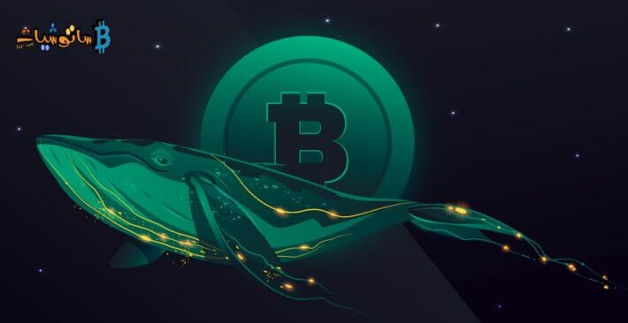 كيفية تتبع حيتان البيتكوين؟