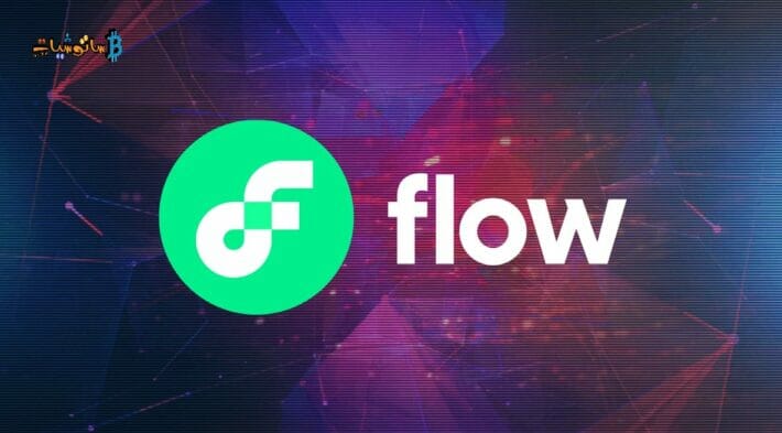 ماهو بلوكتشين FIOW ولماذا ارتفع السعر بنسبة 100٪ في آخر 24 ساعة؟