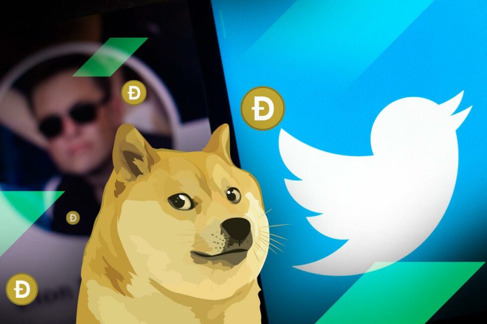 إليكم سبب استبدال شعار تويتر الأزرق بشعار Dogecoin 