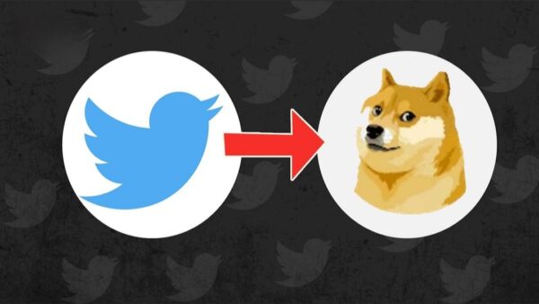 إليكم سبب استبدال شعار تويتر الأزرق بشعار Dogecoin 
