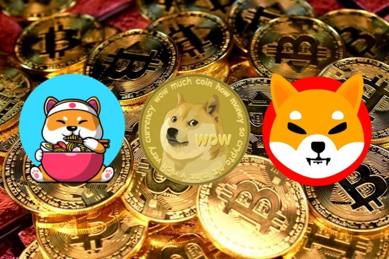 لماذا يفضل المضاربون عملات الميمز "meme coins" عن غيرها؟
