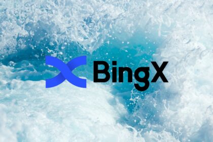 ما هو رصيد VST في منصة BingX وكيف يمكنك الاستفادة منه؟ 