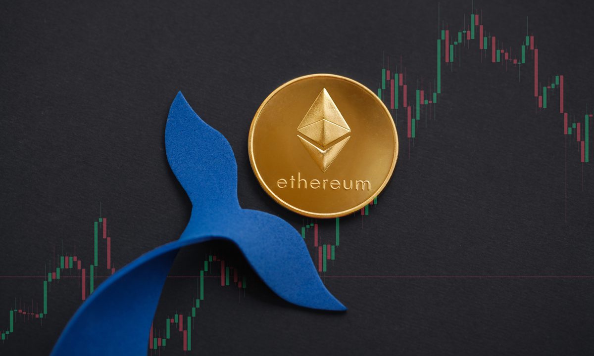 وصول سعر ETH إلى 4000 دولار مسجلاً ارتفاع بنسبة 20%.. فما السبب؟