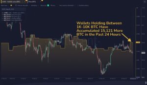 هل سيرتفع سعر البيتكوين والاثيريوم قريباً.. وهل يشتري الحيتان عند كل هبوط؟