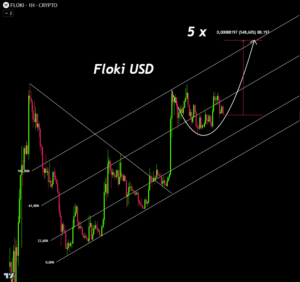 توقعات بارتفاع سعر FLOKI بنسبة 200% ولكن بشرط، فما هو؟