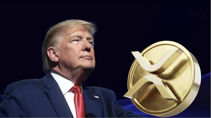 توقعات XRP بالوصول إلى 4 دولار بعد لقاء الرئيس التنفيذي ل Ripple بترامب