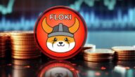 توقعات بارتفاع سعر FLOKI بنسبة 200% ولكن بشرط، فما هو؟