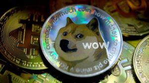 شركة DOGE التابعة لإيلون ماسك تواجه دعوى قضائية بعد تنصيب ترامب