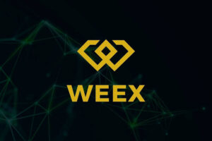 منصة WEEX تقدم مستقبل العملات الرقمية في منطقة الشرق الأوسط وشمال إفريقيا