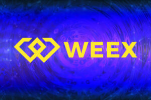 شرح منصة WEEX لتداول العملات الرقمية وكيفية التسجيل فيها