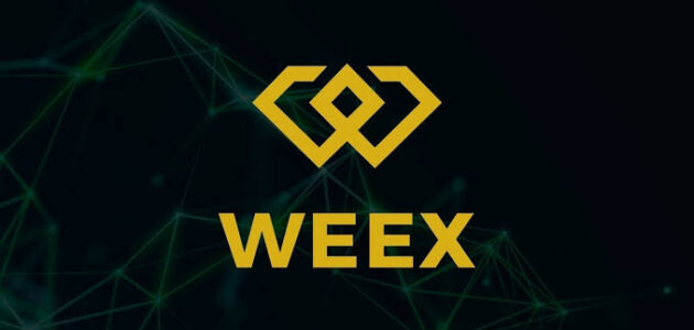 شرح منصة WEEX لتداول العملات الرقمية وكيفية التسجيل فيها