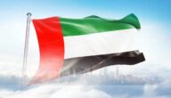 شركة ريبل تحصل على ترخيص في الإمارات العربية المتحدة 