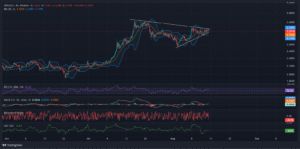 ما هي توقعات سعر XRP مع توجه الحيتان نحو الريبل؟