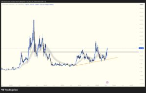 سعر Chainlink يكسر أعلى مستوى له ويرتفع بنسبة 45%.. فما السبب؟